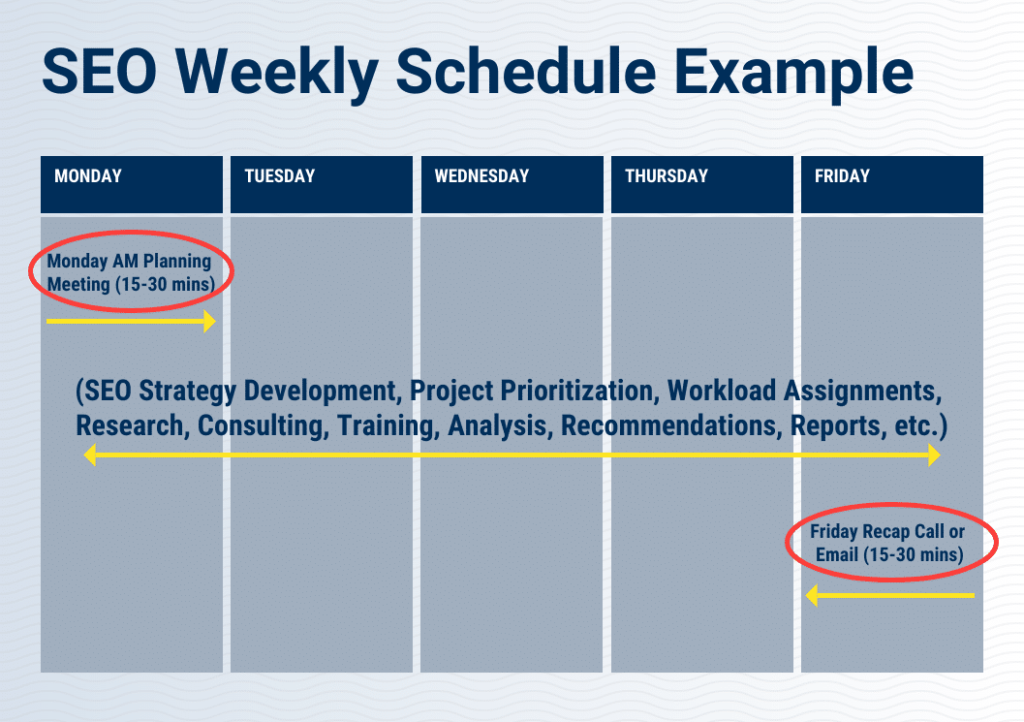 SEO Weekly Schedule Example SD